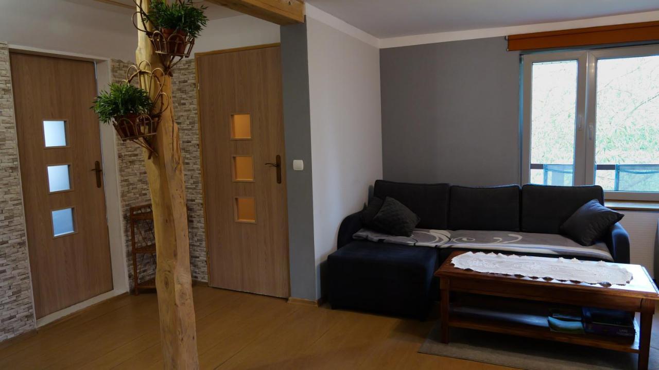 Apartamenty Lucky-Ski Ustrzyki Dolne Eksteriør bilde